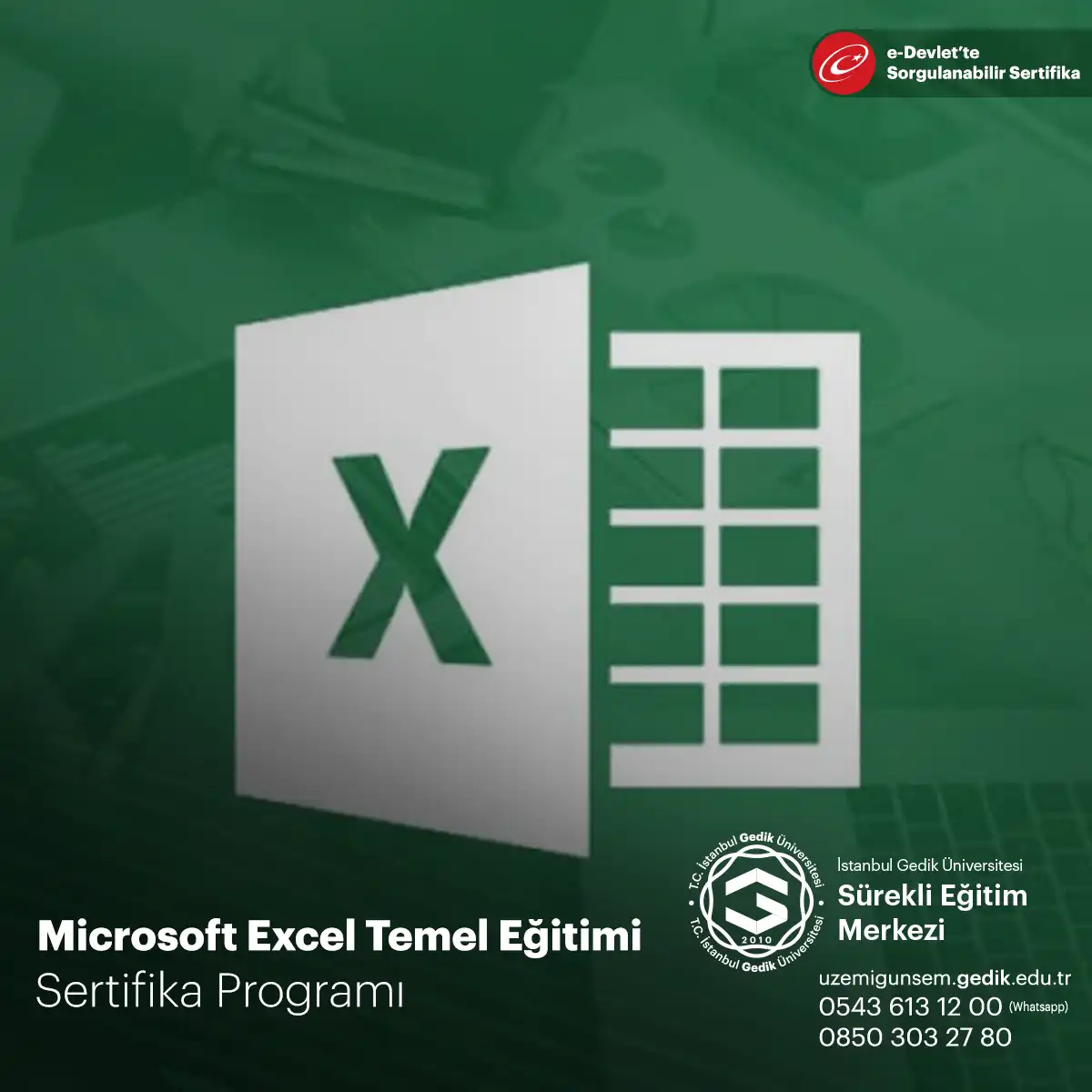 Microsoft Excel Temel Eğitimi 